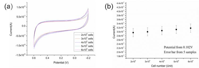 미분화 신경줄기세포의 전기화학 특성 (a) cyclic voltammogram, (b) 특정 potential에서의 전류값 비교