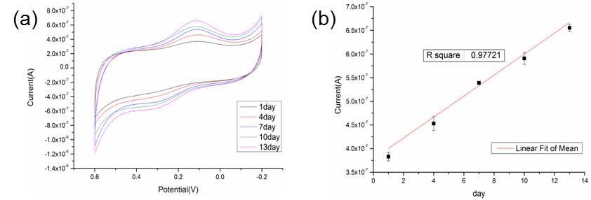 분화되는 신경줄기세포의 전기화학 특성 (a) cyclic voltammogram, (b) 특정 potential에서의 전류값 비교