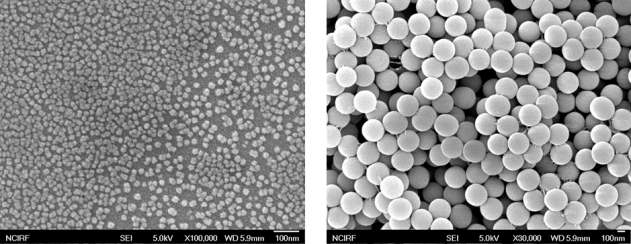 (좌) 60nm 및 (우) 250nm 산화그래핀-실리카 나노 패턴의 SEM 사진