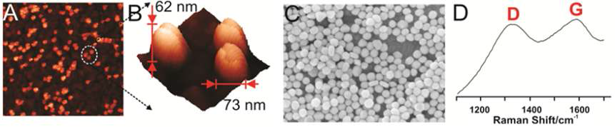 (a) 그래핀-금 나노 입자 기판의 AFM 이미지, (b) a 사진 중 동그라미 부분의 고 해상도 이미지, (c) 그래핀-금 나노 입자의 SEM 사진, (d) 그래핀-금 나노 입자의 라만 분광 측정 결과