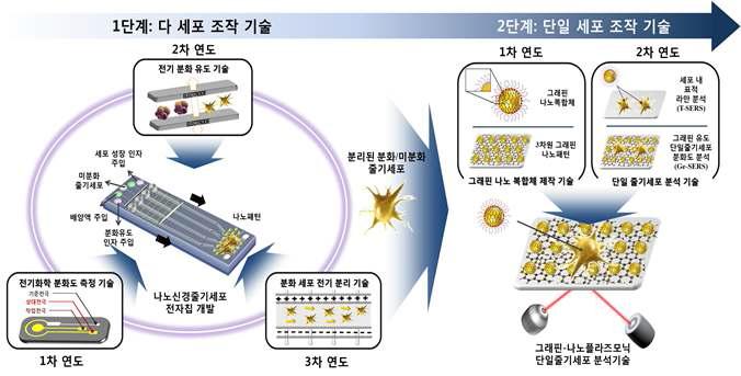 단계 별 연구 개발 모식도