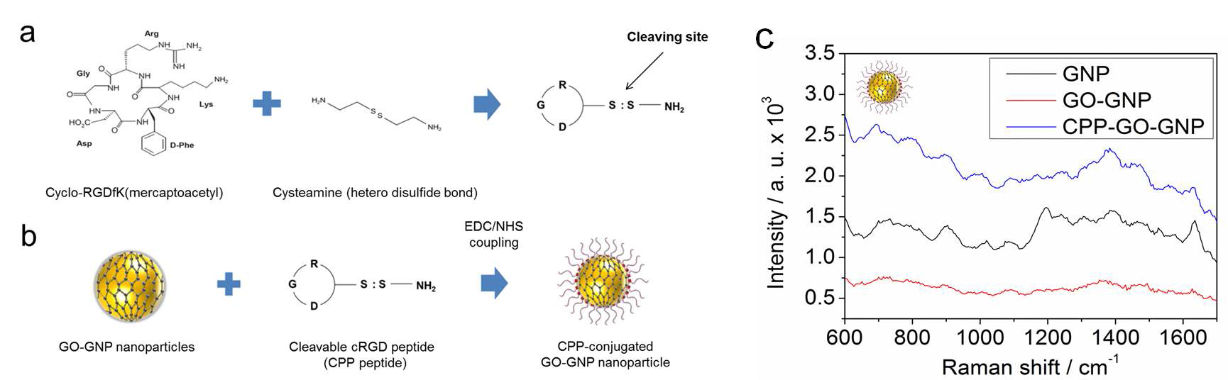 (a) Cyclo-RGDfK 펩타이드와 Cysteamine (hetero disulfide bond)과의 반응을 통하여 세포 침투 효율을 극대화 하고 세포 내에서 RGD 부분을 제거할 수 있는 펩타이드 설계 개요도, (b) EDC/NHS 반응을 통한 그래핀-금 나노 입자와 cleavable cRGD peptide와의 결합, (c) 금 나노 입자, 그래핀-금 나노 입자 복합체 및 세포 침투 리간드가 결합 된 그래핀-금 나노 입자에서 유도된 세포 내 SERS 신호