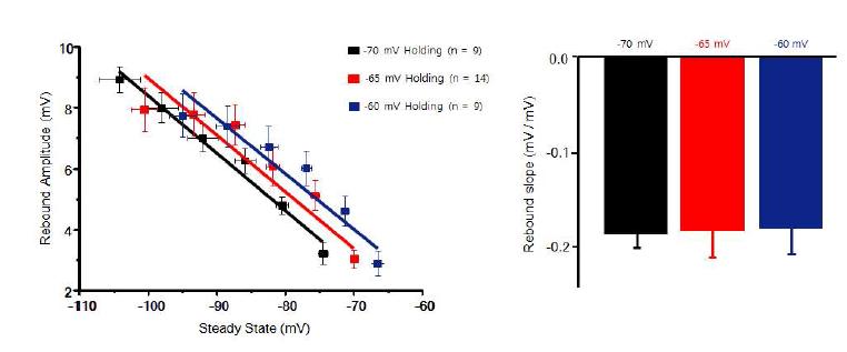 소엽 3-5에서의 -70,-65,-60mV holding potential 변화에 따른 rebound depolarization