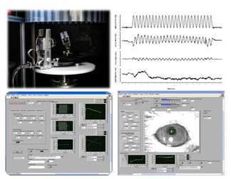 PC-based video oculography for Measuring VOR in mice.