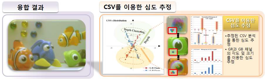 영상 융합 결과와 CSV 분석을 이용한 심도 추정