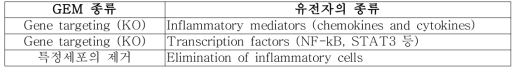 염증관련 GEM 모델에서의 암발생 및 암전이의 감소