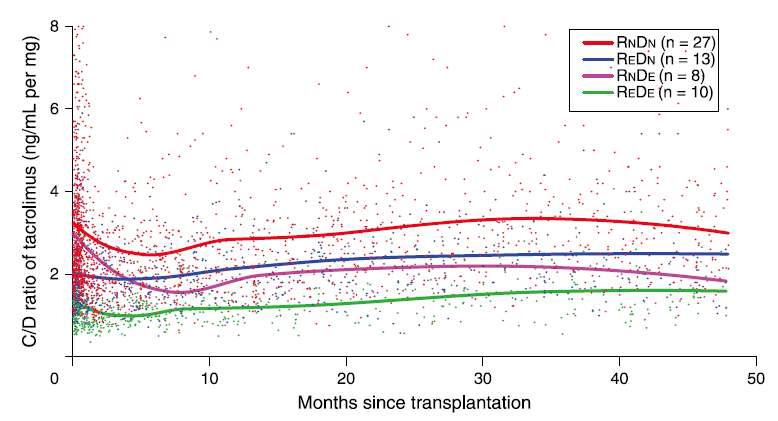 수여자-공여자 유전형에 따른 tacrolimus의 농도/용량 비율 변화