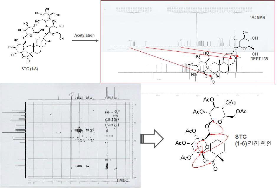 당전이 효소를 이용한 배당체 화합물 STG(1-6)의 NMR을 통한 구조분석.