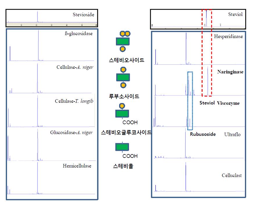 당 분해 효소를 이용한 stevioside 배당 생물소재합성.
