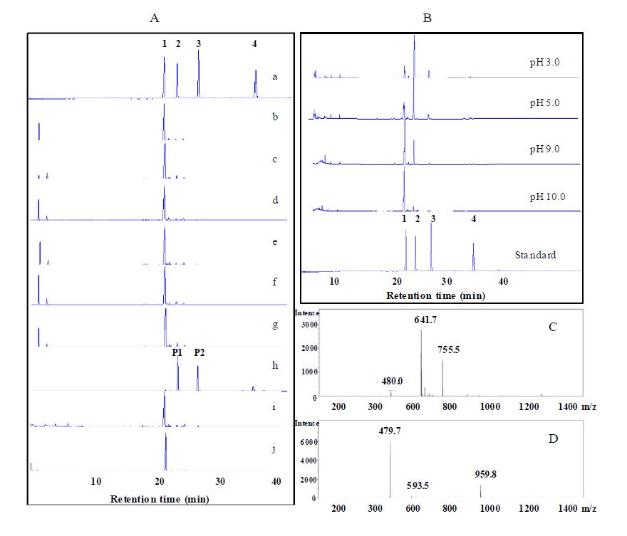 시판중인 10여종의 탄수화물 분해효소로부터 루부소사이드를 특이적으로 생산하는 효소탐색 HPLC 크로마토그램(A), 다양한 pH에 따른 루부소사이드 생산(B), 그리고 생산된 산물의 LC-MS 분석 P1(C)과 P2(D)