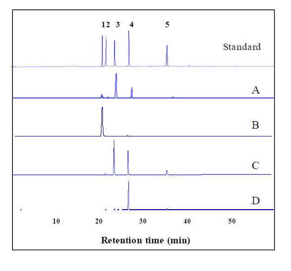 선발된 효소를 이용한 기질 특이성 연구. A, stevioside; B, 레바우디오사이드 A; C, 루부소사이드; D, 스테비올 모노-글루코사이드