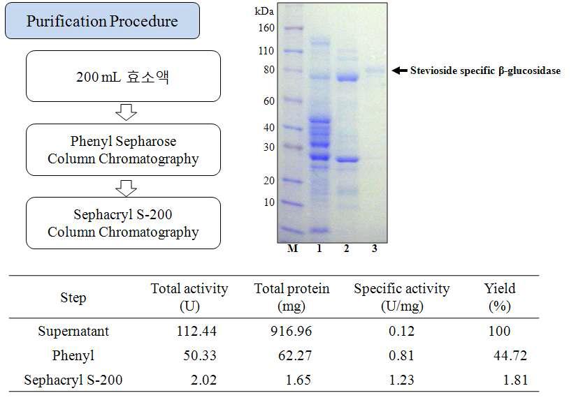 선발된 효소의 순수 분리 정제