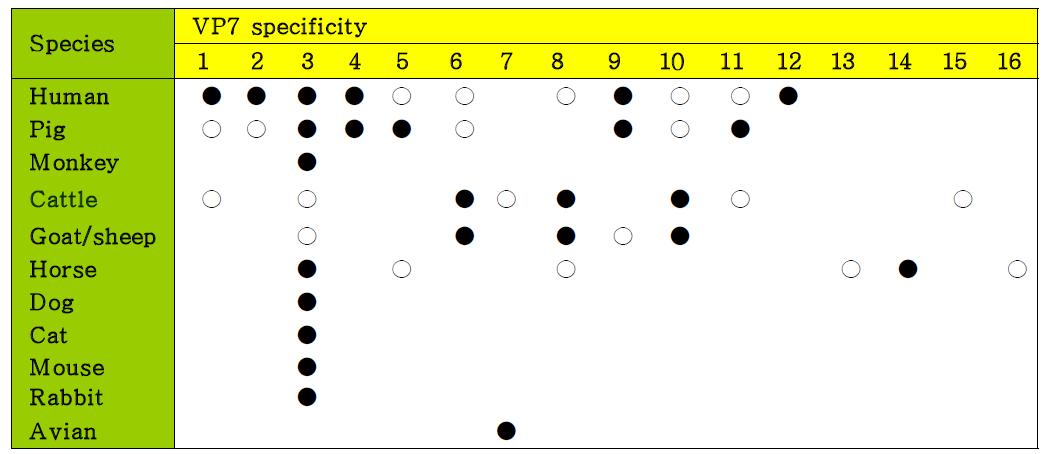 사람과 동물에서 발생하고 있는 G genotype 로타바이러스