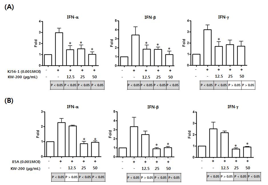 생물소재 KW-200의 로타바이러스에 유도된 인터페론의 억제 효능 (Real-time RT-PCR); (A) KJ56-1 (G8P[7], bovine rotavirus) (B) 85A (G5P[7], porcine rotavirus)