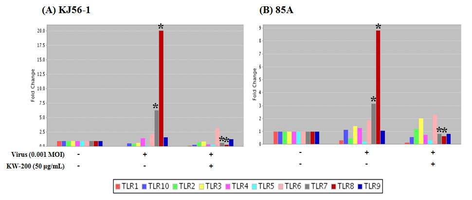 생물소재 KW-200의 로타바이러스에 유도된 TLR7와 TLR8의 발현 억제 효능 (Real-time RT-PCR); (A) KJ56-1 (G8P[7], bovine rotavirus) (B) 85A (G5P[7], porcine rotavirus)