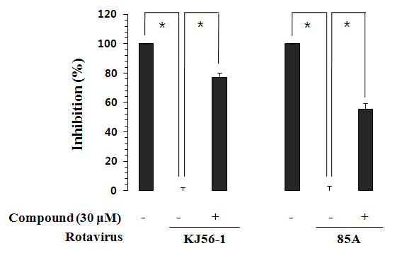 JSC에서 분리한 화합물의 항로타바이러스 활성