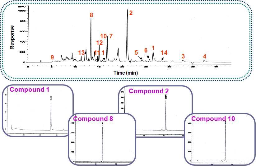 생물소재 JSC의 profiling 분석을 위한 HPLC chromatogram 및 정성분석