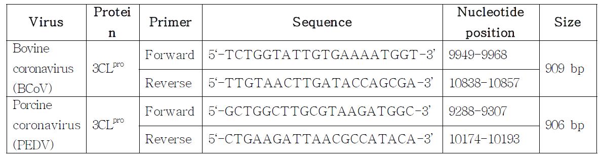 코로나바이러스의 유전자를 증폭시키는 프라이머쌍