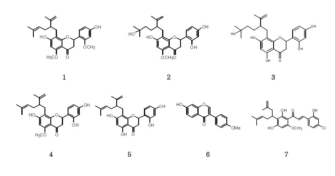 JSC으로부터 분리정제 된 화합물 1-7의 구조