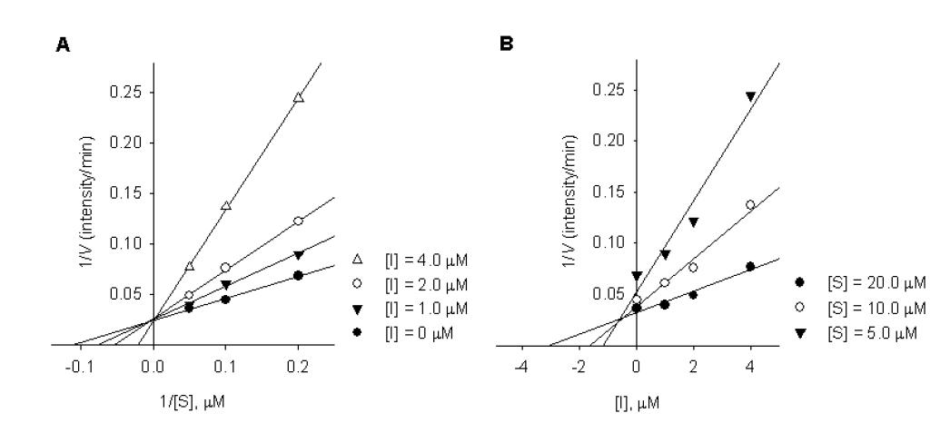 이구에스터린(4)의 3CLpro 에 대한 kinetic. (A) Linewaever-Burk plots, (B) Dixon plots.