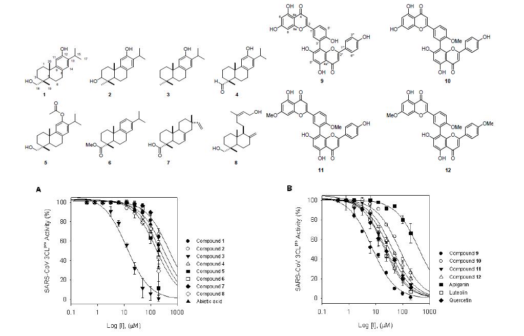 Abietane 유도체 화합물과 biflavonoid 유도체 화합물의 3CLpro 저해활성.