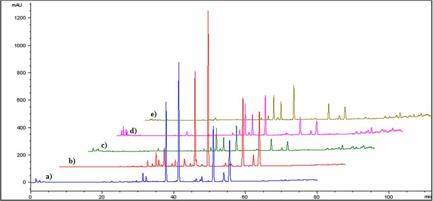 생물소재 지치의 추출용매에 따른 HPLC 크로마토그램