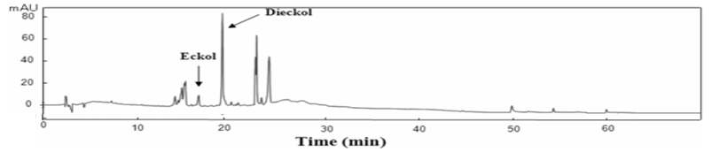 감태 추출물의 HPLC 크로마토그램