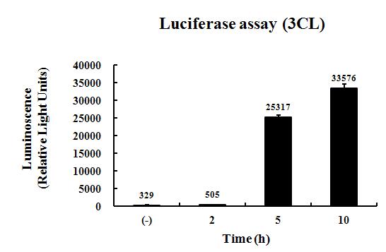 Vero cell에서의 3CLpro의 cell-based cis-cleavage assay