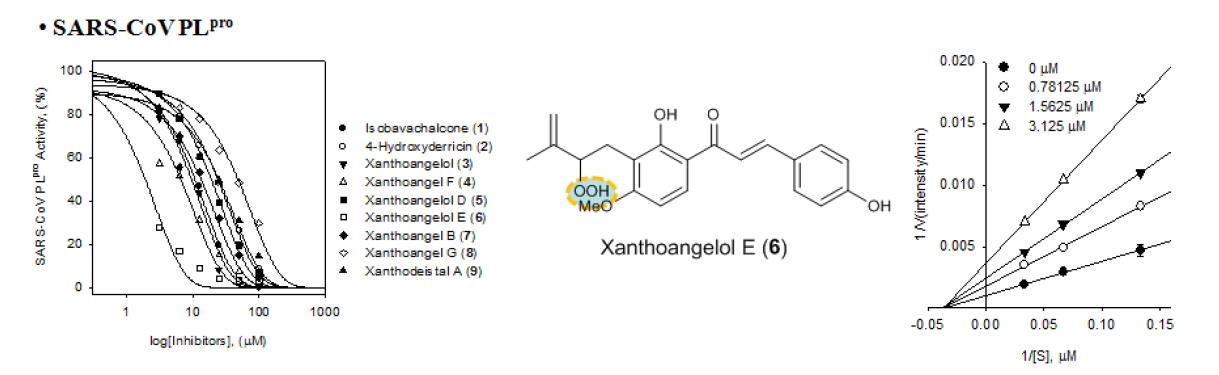 신선초(A. keiskei)의 alkylated chalcone 화합물의 농도의존적 저해 및 perhydroxyl group을 갖는 xanthoangelol E의 비경쟁적 저해