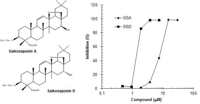 Saikosaponin A 와 D 의 세포접착저해활성 (P-selectin/HL-60 세포)