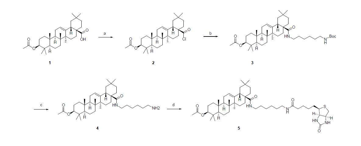 Biotin 표지한 KR-301 표지화합물의 제작
