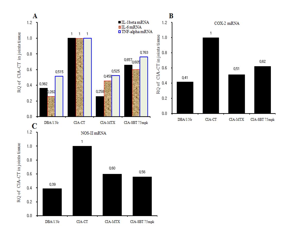 KR-200의 염증모델에서 염증성 싸이토카인 mRNA 발현 억제효과