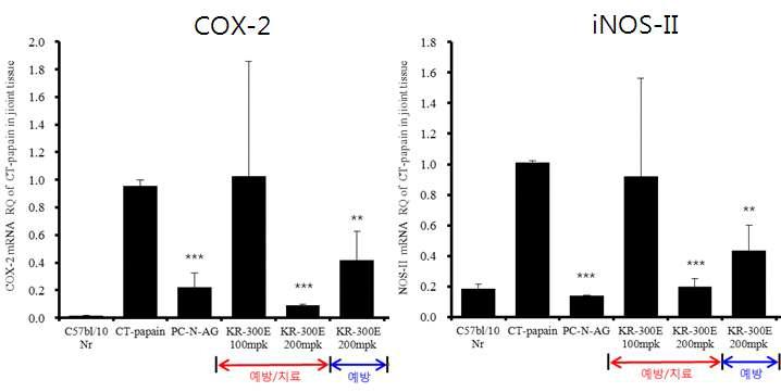 KR-300의 염증모델에서 염증성 매개인자인 COX-2 및 iNOS-II mRNA 발현 억제효과
