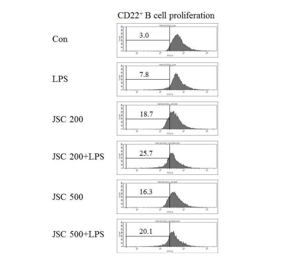 JSC를 경구 투여한 마우스의 splenic B cells의 LPS response 증가