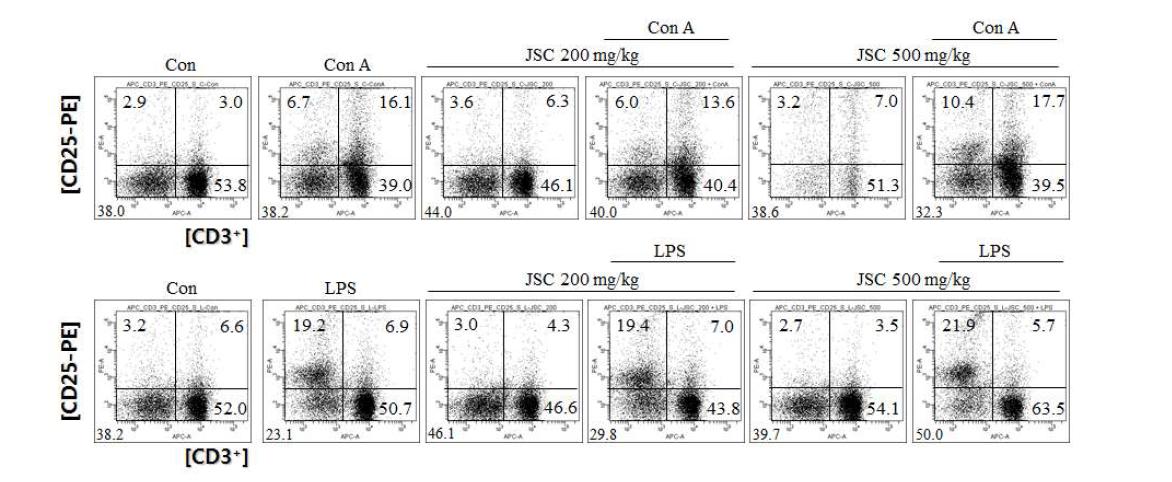 JSC를 경구 투여한 마우스에서 splenic lymphocyte의 CD25 발현 증가