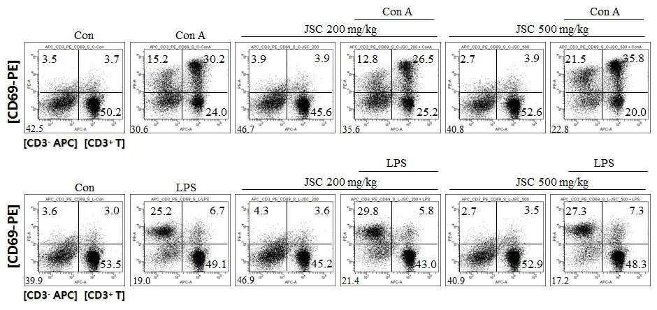 JSC를 경구 투여한 마우스에서 splenic lymphocyte의 CD69 발현 증가
