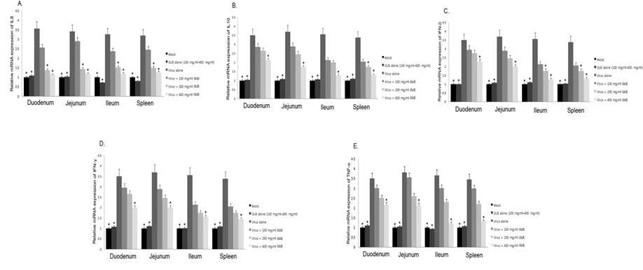 Influence of KW-200 on rotavirus-induced expression of IL8, IL10, IFN-β, IFN-γ, and TNF-α in colostrums-deprived piglets. Comparison of mRNA expression levels of IL8, IL10, IFN-β, IFN-γ, and TNF-α with those of β-actin in each experimental group was determined by SYBR Green Real-time RT-PCR. Values are means ± S.D. (n=3) (*p< 0.05).