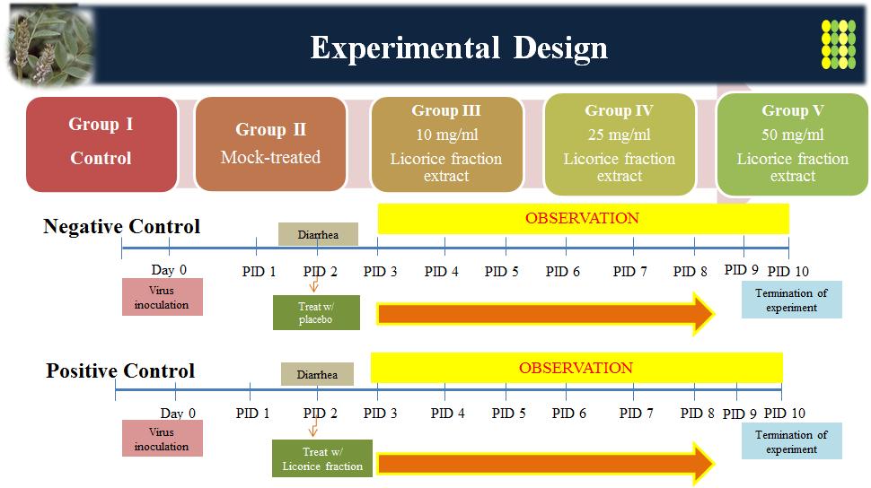 Experimental design for evaluating anti-rotavirus effects of KW-200 fraction. Experimental animals were randomly allocated into 6 groups in which group I was mock-inoculated and mock-treated, group II was virus-inoculated and mock-treated, group III was virus-inoculated and 10 mg KW-200 fraction-treated, group IV was virus-inoculated and 25 mg KW-200 fraction-treated, and group V was virus-inoculated, 50 mg/mg KW-200 fraction-treated. KW-200 fraction-treated groups were administrated for 7 days after occurrence of rotavirus diarrhea. All piglets inoculated with rotavirus G5P[7] strain K85 showed diarrhea at day post-inoculation (DPI) 2. Experiments were terminated at DPI 10. All animals died during the experimental period or at the termination of experiment were immediately necropsied and all specimens including the fecal samples, organs or tissues were sampled and used for further examinations.