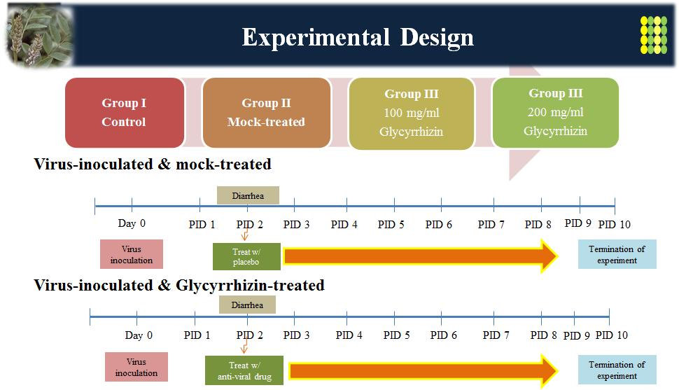 Experimental design for evaluating anti-rotavirus effects of glycyrrhizin. Experimental animals were randomly allocated into 4 groups in which group I was mock-inoculated and mock-treated, group II was virus-inoculated and mock-treated, group III was virus-inoculated and 100 mg glycyrrhizin-treated, and group IV was virus-inoculated and 200 mg glycyrrhizin-treated. Glycyrrhizin-treated groups were administrated for 7 days after occurrence of rotavirus diarrhea. All piglets inoculated with rotavirus G5P[7] strain K85 showed diarrhea at day post-inoculation (DPI) 2. Experiments were terminated at DPI 10. All animals died during the experimental period or at the termination of experiment were immediately necropsied and all specimens including the fecal samples, organs or tissues were sampled and used for further examinations.