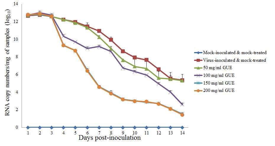 Quantification of fecal rotavirus shedding by SYBR Green real-time RT-PCR.