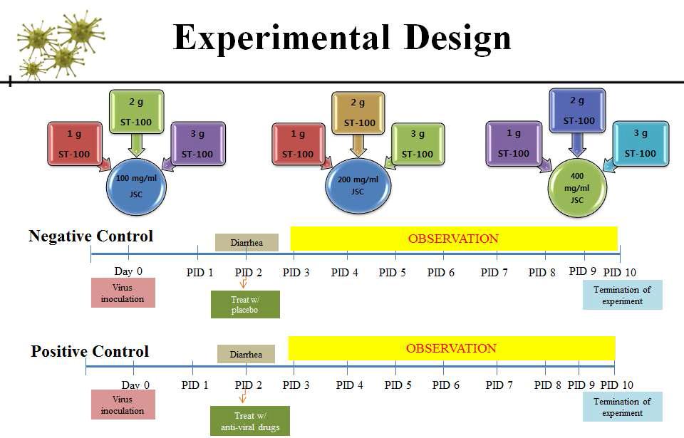 Experimental design for reevaluating anti-rotavirus effects on the various mixtures of ST-100 and JSC. This study was performed to address the points raised by reviewers. All piglets inoculated with rotavirus G5P[7] strain K85 showed diarrhea at day post-inoculation (DPI) 2. Experiments were terminated at DPI 10. All animals died during the experimental period or at the termination of experiment were immediately necropsied and all specimens including the fecal samples, organs or tissues were sampled and used for further examinations.