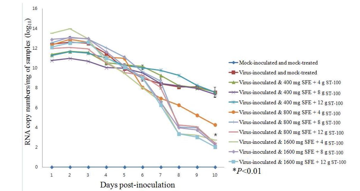 Quantification of viral RNA copy numbers by SYBR Green real-time RT-PCR in the fecal samples of mock-treated and ST-100 and JSC combination-teated groups. Values are mean +S.D. (n=3). The asterisk indicate significant differences (*p< 0.05; *p< 0.001) compared to the positive control.