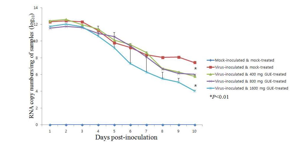 Quantification of fecal rotavirus shedding by SYBR Green real-time RT-PCR.