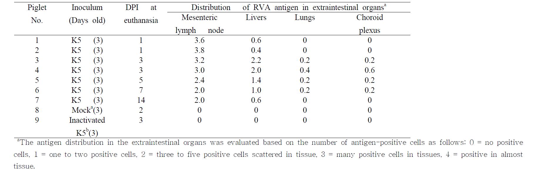 Summary of the antigen distribution in the extraintestinal organs of the colostrums-deprived piglets inoculated with a bovine G5P[7] K5 strain