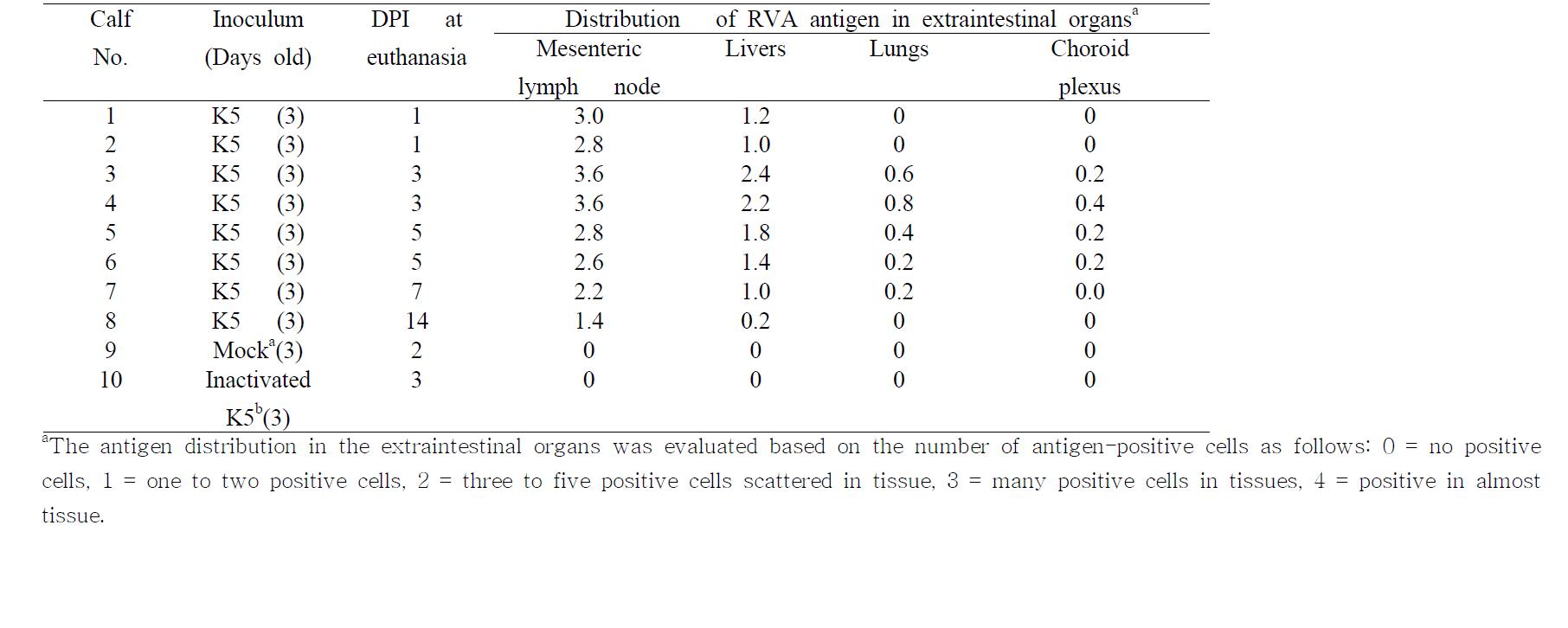 Summary of the antigen distribution in the extraintestinal organs of the colostrums-deprived calves after inoculation with a bovine G5P[7] K5 strain