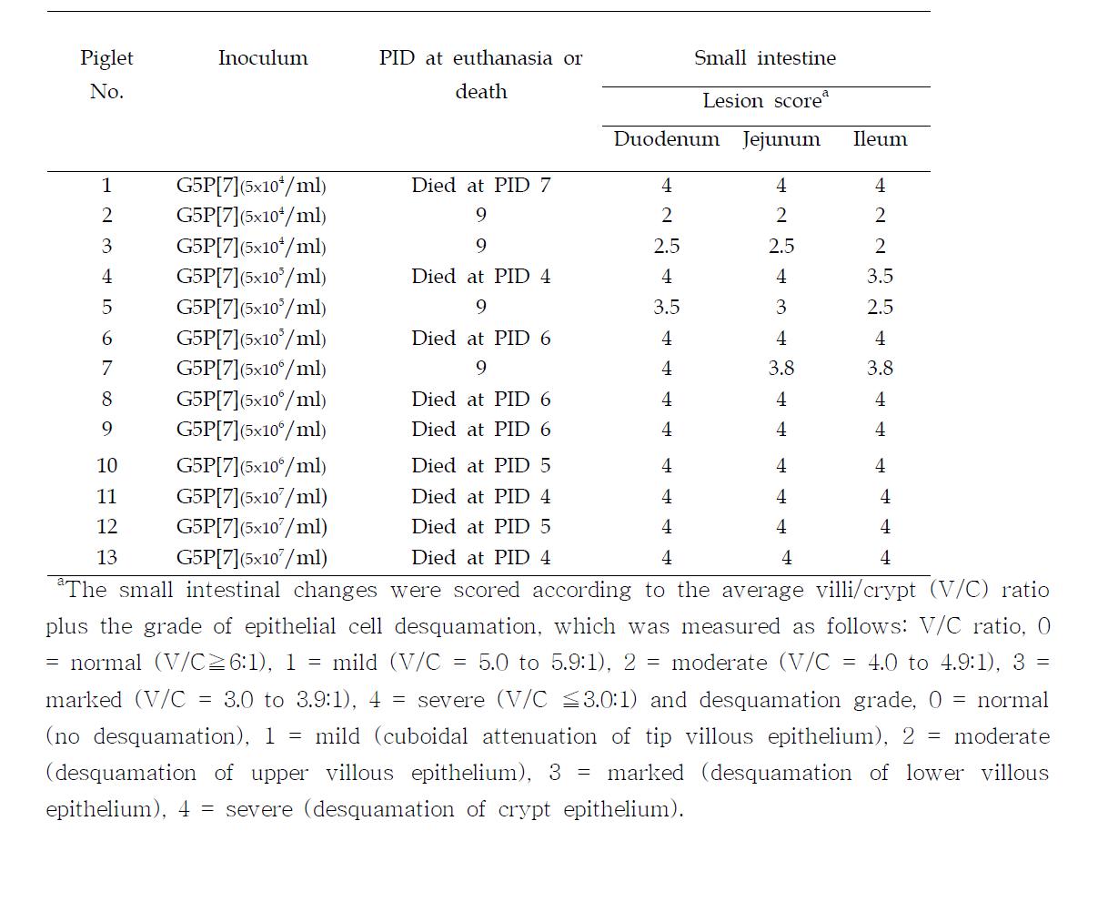 Summary of the histopathlogical findings in the small and large intestines of colustrum-deprived piglets after inoculation of different titer of G5P7