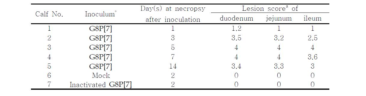 Summary of the histopathological findings in the small intestine sampled sequentially from the colostrums-deprived calves after inoculation with G8P[7] strain