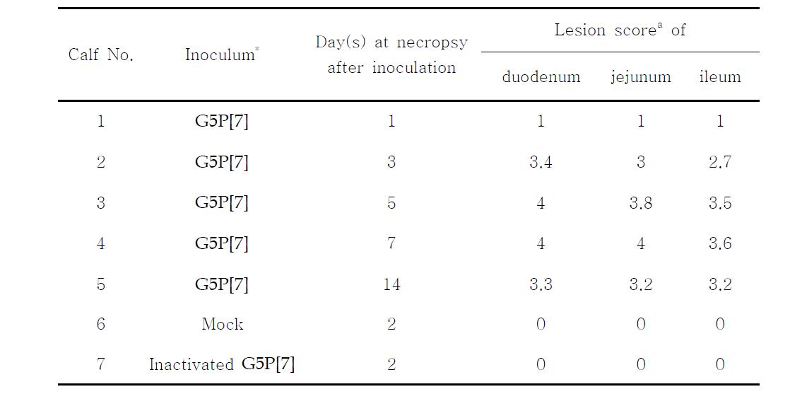 Summary of the histopathological findings in the small intestine sampled sequentially from the colostrums-deprived calves after inoculation with G5P[7] strain