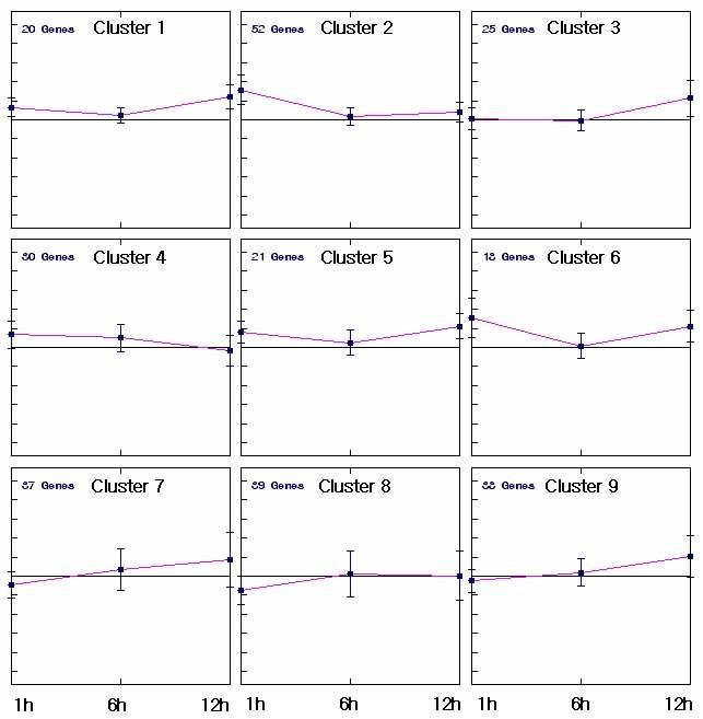 Expression profile of individual genes in each group of the cluster analysis.