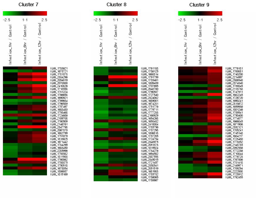 Cluster image of microarray expression profiles of 280 genes.